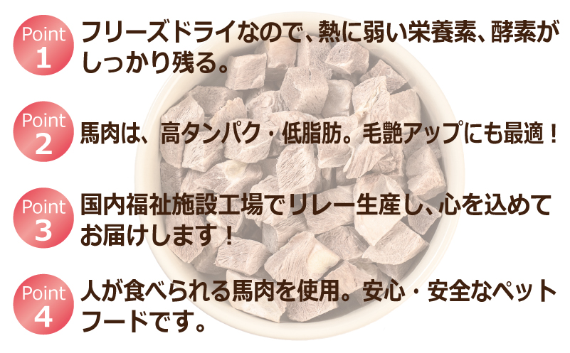 ALOHAS 馬肉フリーズドライ 犬猫用おやつ 定期便 全6回【犬猫用 国産 無添加 無着色 高タンパク 低脂肪 ドッグフード キャットフード 毎月配送コース】