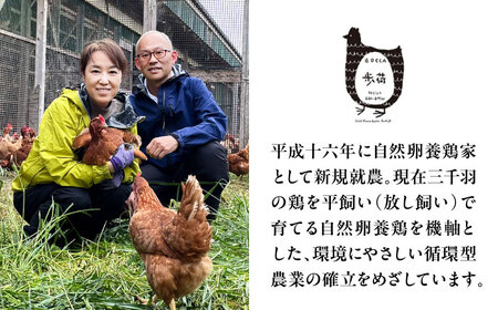 NOU cafe ぼっか ランチセットお食事券（デザート付）1名様分 / 食事券 チケット ランチ カフェ 平飼い卵 / 稲沢市 / 平飼い自然卵歩荷 [BMBM007]
