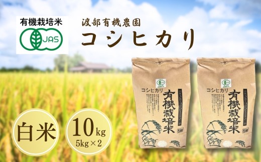 コシヒカリ 白米 10kg ( 5kg ×2)  JAS有機米 令和7年産 | JAS 有機米 精米 コメ 米 こめ ブランド米 銘柄 福島 福島県産 渡部有機農園 福島産コシヒカリ 福島産こしひかり