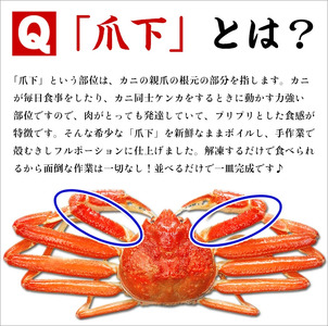 【訳あり】ズワイガニ カニポーション 1kg[024-b029_fn]かに