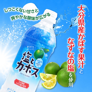 I02059-S 【お中元 ギフト】塩とカボス 495ｍｌ×24本 《7/1～8/8の期間にお届け》