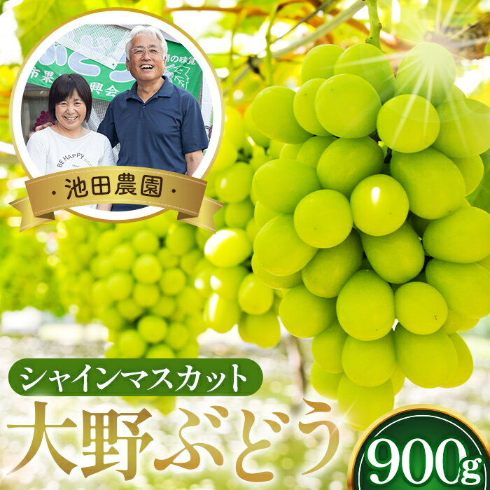 【ふるさと納税】No.251 【10セット限定】池田農園の大野ぶどう（シャインマスカット）約900g / 高糖度 葡萄 ブドウ 果物 フルーツ 国産 送料無料 大阪府