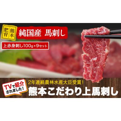 ふるさと納税 玉東町 上赤身馬刺し100g×9セット(10ml×9袋)《3-7日以内に出荷予定(土日祝除く)》