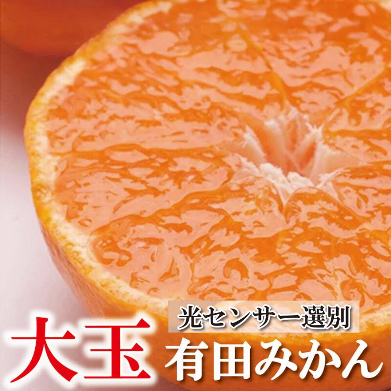 【ふるさと納税】 有田 みかん 大玉 家庭用 / 温州みかん 有田みかん 柑橘 光センサー 選別 / 2.5kg 5kg 7.5kg 10kg 2L以上混合 ※2025年11月より順次発送予定（日時指定不可） ※北海道・沖縄・離島への配送不可送