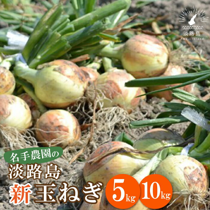 【ふるさと納税】【新たまねぎ】名手農園の淡路島特産玉ねぎ5kg・10kg【発送時期：2025年3月～5月頃】