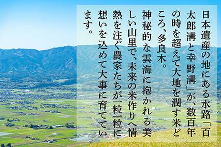 【定期便 隔月発送 全3回】＜ R5年産先行予約 ＞ 多良木町産 こめたらぎ にこまる 10kg × 3ヶ月 発送 合計30kg 【 定期便 3回 白米 ごはん お米 】 044-0583-b