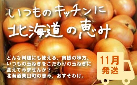 【11月発送】越冬用減農薬玉ねぎ10kg　　