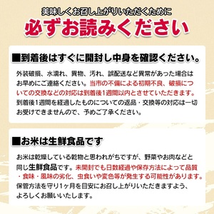 【令和5年産】 斎藤農場の特別栽培米 雪若丸 10kg（5kg×2） A45-006