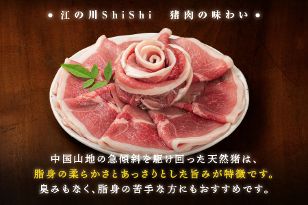 天然猪 江の川shishi 猪モモスライス 鍋用 500g （ 2～3人前 ） AI-5 いのしし肉 イノシシ肉 猪肉 猪 モモ肉 スライス ジビエ 鍋