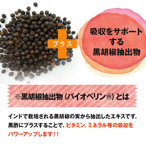 【ファイン】国産黒酢カプセルプラス　2個セット | 国産 黒酢 かプセル ソフトカプセル ファイン 兵庫県 上郡町