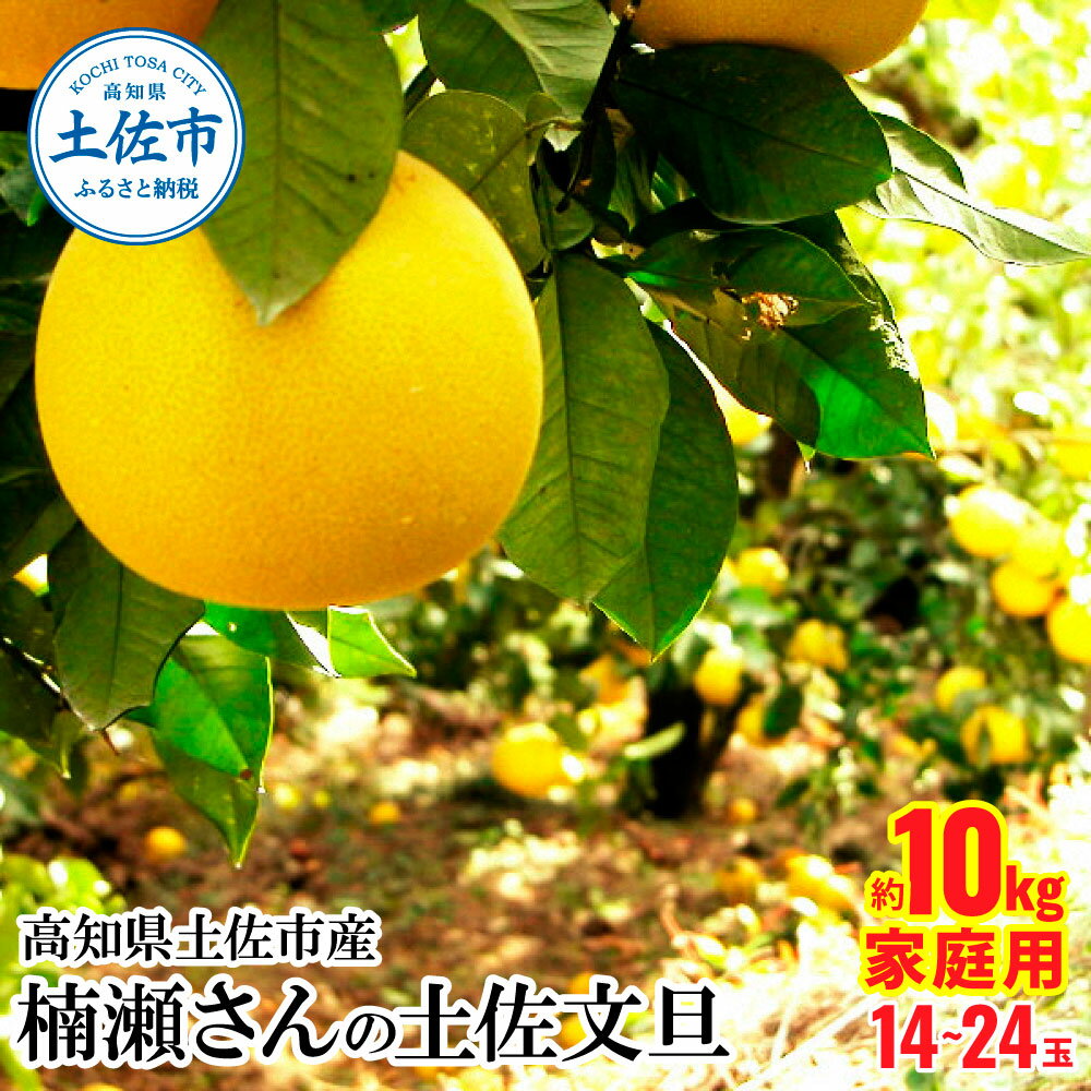 【ふるさと納税】高知県土佐市産 楠瀬さんの土佐文旦 家庭用 約10kg 期間限定 高知 土佐 文旦 ぶんたん ブンタン 柑橘 みかん 果物 10キロ L～4Lサイズ 14～26玉 フルーツ 旬 不揃い ご自宅用 お取り寄せ 常温 高知県 土佐市 ふるさとのうぜい 故郷納税 返礼品