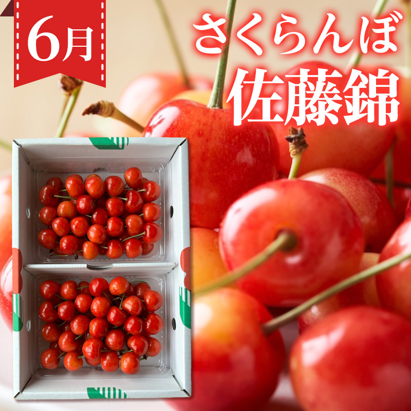 【定期便3回】ノノハナフルーツ 人気のフルーツベスト３ スタンダード便 FY26-223