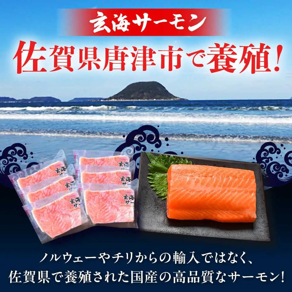 玄海サーモン柵80g×6袋 / 佐賀県 / 株式会社九州特産品販売 [41AECT008]