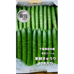 ＜産直＞きゅうり50本  野菜 野菜 野菜 野菜 きゅうり きゅうり きゅうり