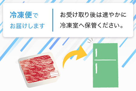 【数量限定】熊本県産 馬肉 サガリ(ヒモ肉) カルビ 焼肉用 300g 本場 ヘルシー 馬肉 刺し身 OK 赤身 030-0705