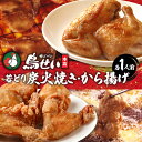 【ふるさと納税】鳥せい本店 の 若どり 炭火焼き & から揚げ セット 各1人前 鶏肉 手羽 むね肉 もも肉 詰め合わせ 真空パック 冷蔵 職人技 こだわり お取り寄せ ソウルフード 北海道 清水町 送料無料