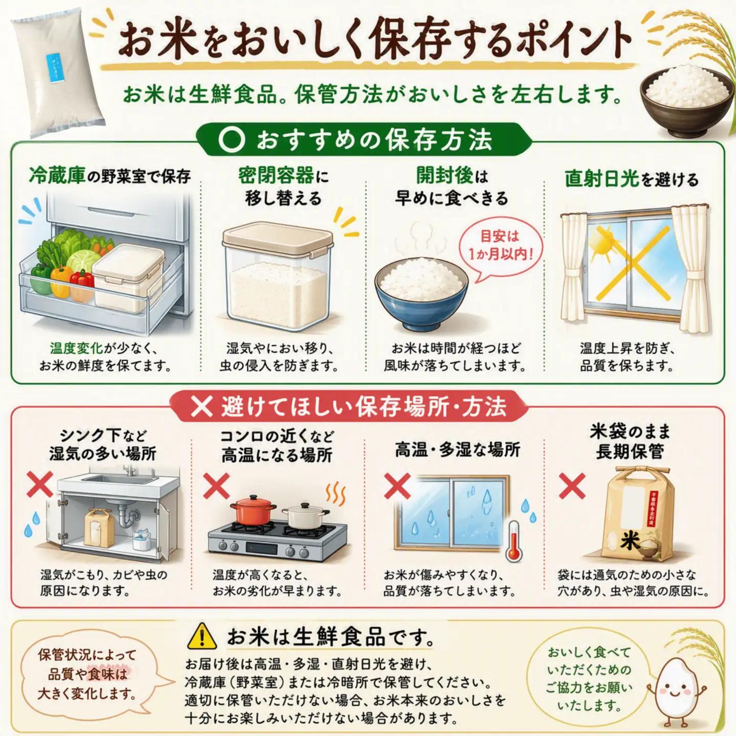 【先行予約・9月より順次配送】令和8年産 千葉県産 コシヒカリ 精米10kg mt207671_011001