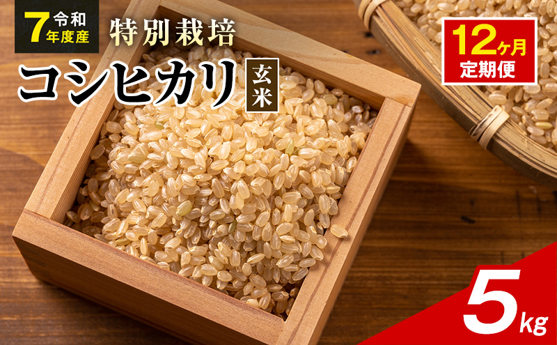 令和7年産 特別栽培米 コシヒカリ 玄米 5kg 静岡県産 色彩選別済 食に意識高い方へオススメ 12ヶ月定期便