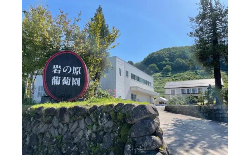 岩の原葡萄園内ワイナリーレストラン 金石の音 ランチ・ディナー共通 お食事券 1名様分食事券 ランチ ディナー コース ワイン くびき牛 ステーキ お食事券 ランチ券 ギフト券 チケット 昼食 観光 旅行 トラベル 新潟 上越