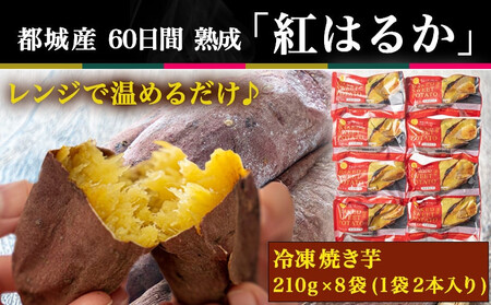 【敬老の日】島津甘藷(紅はるか)冷凍焼き芋 16本≪9月11日～15日お届け≫_AA-A702-KG_(都城市) 冷凍 焼き芋 品種改良 サツマイモ 「紅はるか」 熟成 アレンジ