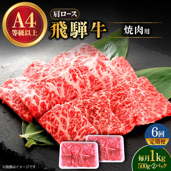 【ふるさと納税】【6回定期便】 飛騨牛 焼肉用 ロース・肩ロース 1kg A4等級以上 多治見市 / 渡辺精肉店 和牛 ブランド牛 牛肉[TAZ036]