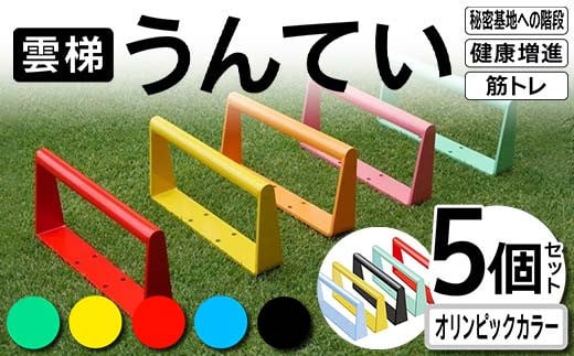 雲梯（うんてい）5個セット ＜オリンピックカラー＞ 雲梯 ウンテイ 健康 健康増進 ダイエット 筋トレ 屋根裏や秘密基地への階段 F21E-267