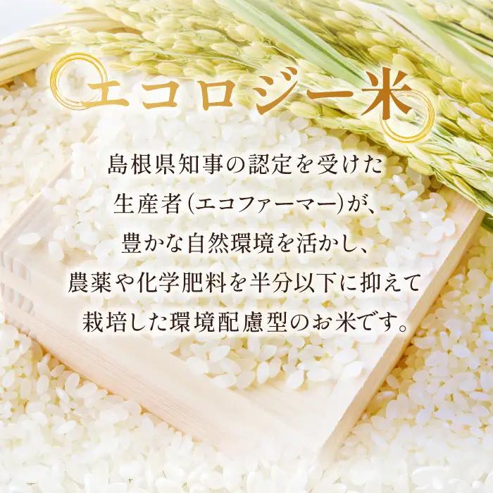 【定期便】石見銀山天領米(5kg×5回お届け)【定期便 定期 5回 コシヒカリ 精米 5kg×5回 合計25kg 島根県産 大田市産 米 氷感熟成 エコロジー米 天領米】