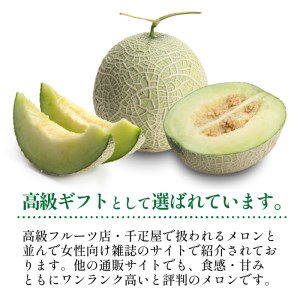 メロン／果物	【先行予約／数量限定50】希少品種 黄美香（きみか）メロン 2玉（2026年7月下旬～発送）希少メロン 限定メロン フルーツ・メロン2玉・果物