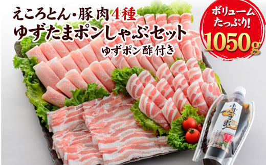 
えころとん・豚肉4種(計1050g) ゆずたましゃぶセット 《60日以内に出荷予定(土日祝除く)》 熊本県産 有限会社ファームヨシダ
