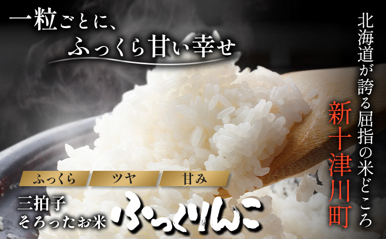 【令和8年度産】 ゆめぴりか ななつぼし ふっくりんこ 精米セット 計15kg ｜ オンライン 申請 ふるさと納税 北海道 新十津川 北海道産 米 ブランド ブランド米 お米 組み合わせ 北海道米 ご