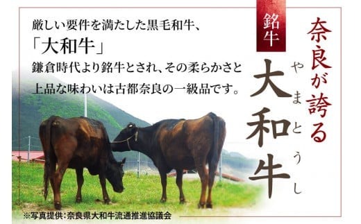 牛肉 しゃぶしゃぶ 大和牛ロースしゃぶしゃぶ用【年末年始12月26日?1月7日の着日指定不可】 大和牛専門店 一 G-64