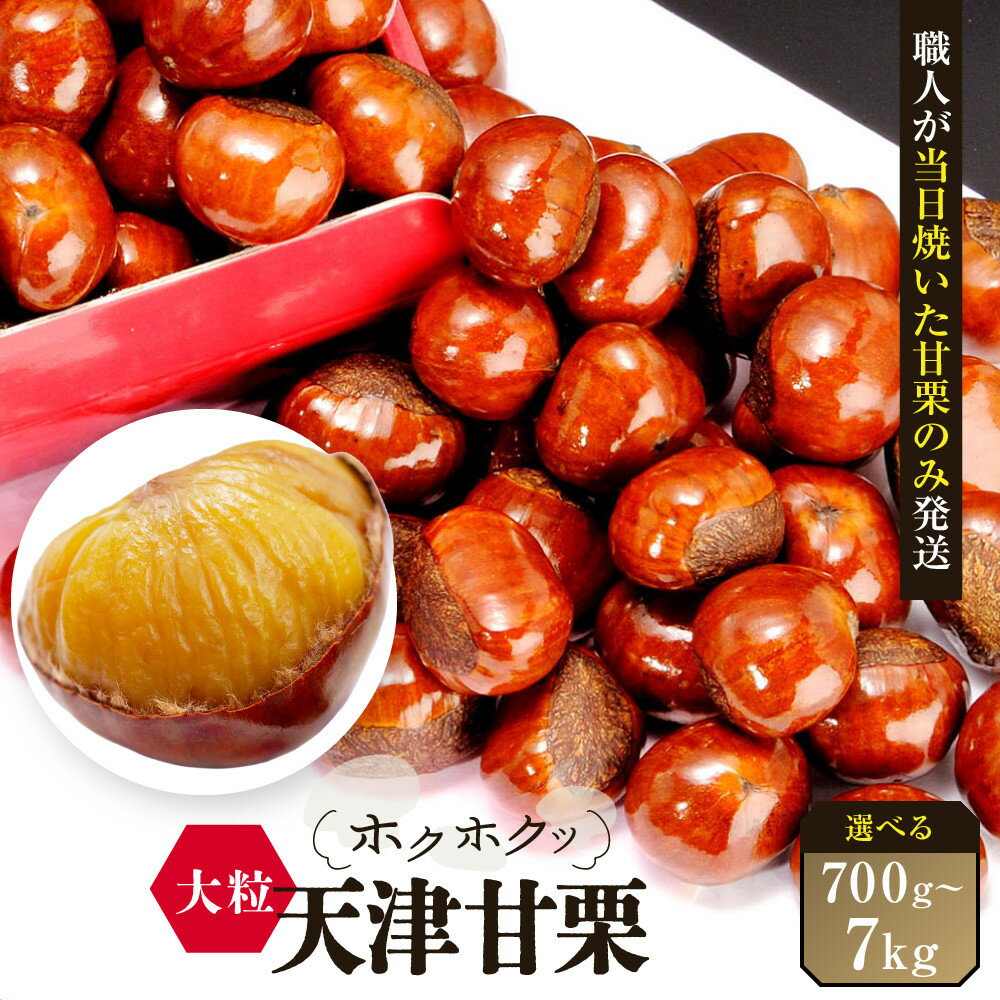 【ふるさと納税】【先行予約】＼注文数急上昇／ 無添加 大粒天津甘栗 《選べる700g～7kg》 2026年10月下旬より順次発送 【沖縄県・離島配送不可】 | 食べ応え 鮮度抜群 栗 焼いた当日の甘栗のみ使用 新栗炒りたて 冷凍庫保管 アレンジOK 送料無料 保存料不使用
