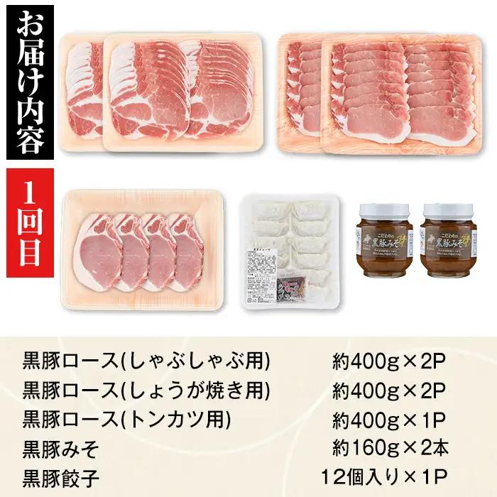 ＜定期便・全3回(隔月)＞極上セットE かごしま黒豚 ふるさと定期便 豚肉 国産【和田養豚】E02005