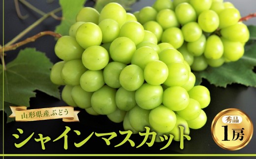 ぶどう（シャインマスカット）１房　0060-2612