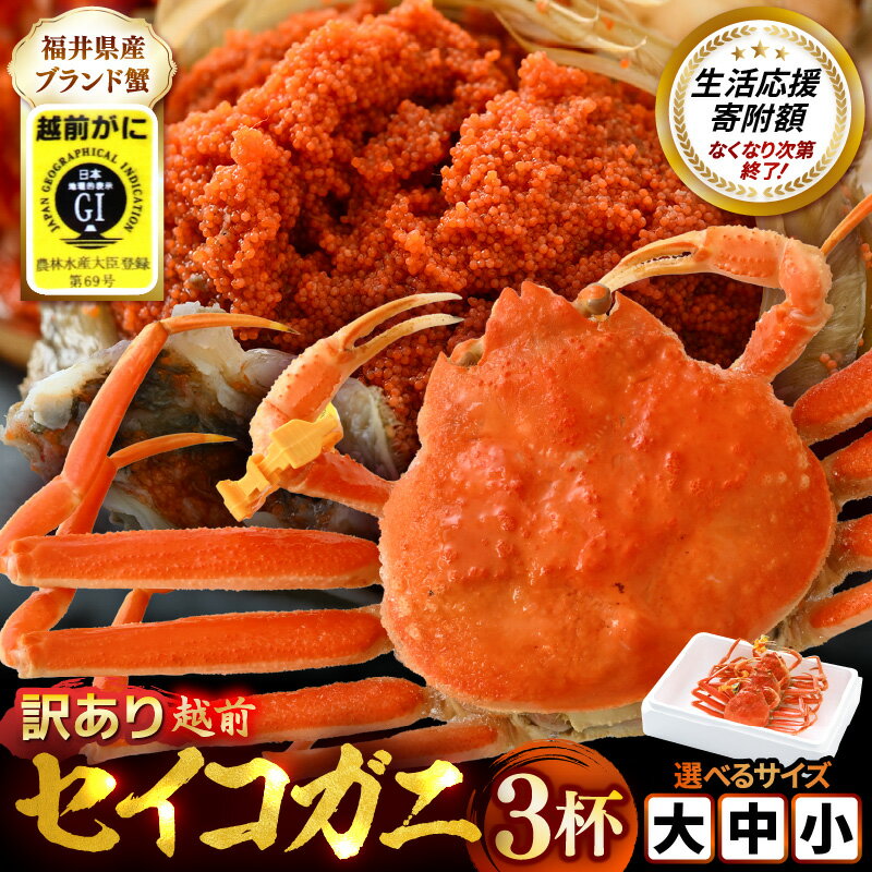 【ふるさと納税】【訳あり】【数量限定！】 全て地物！ 天然！ セイコガニ　3杯セット（冷凍）【選べるサイズ】食べ方説明書付き 【カニ かに 蟹 せいこがに 越前セイコガニ ずわいがに ズワイガニ ボイル わけあり 規格外 足折れ 国産 食品ロス フードロス】