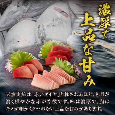 ふるさと納税 焼津市 『鮪の魚二』天然南鮪大トロ中トロ赤身約800gセット(a40-076) |  | 02