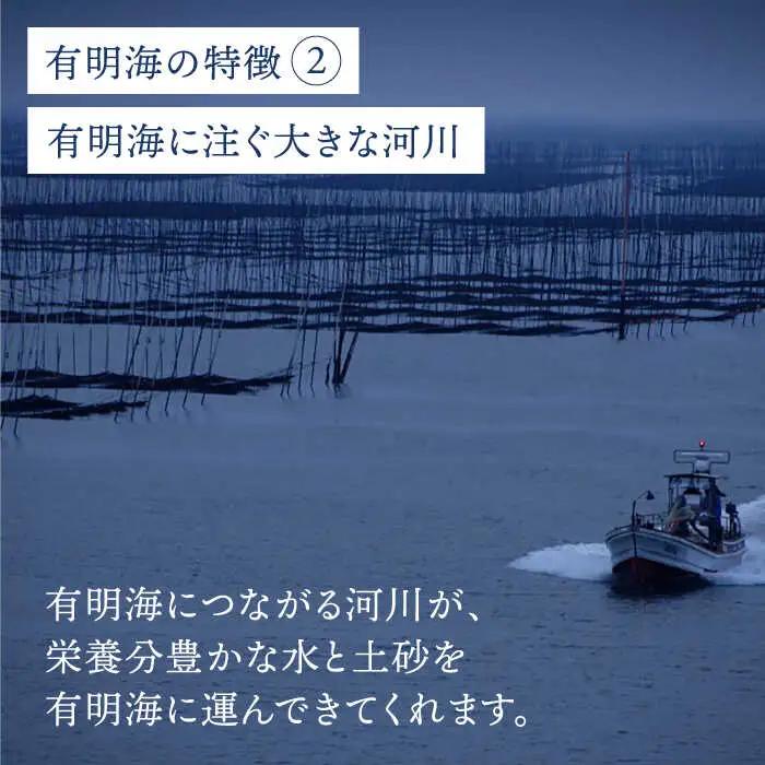 佐賀海苔 味海苔 250枚 海苔 [FBC021]