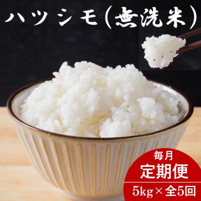 ふるさと納税 羽島市 【毎月定期便】岐阜県産ハツシモ(無洗米) 5kg全5回