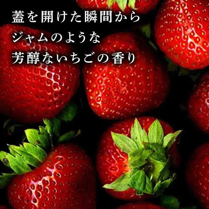 【3回定期便】高級 いちご 100％ワイン Giftfromthe Earth -大地からの贈り物- オーガニック【伊藤農園】 いちご 苺 熊本県 特産品 有機 お酒 オーガニックワイン [ZBB01