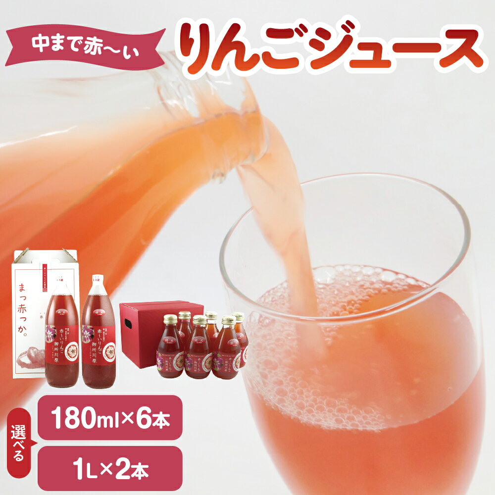 【ふるさと納税】りんごジュース ストレート 果汁 100％ ( 選べる内容量 : 180ml×6本 / 1L×2本 ) 中まで赤〜いりんごジュース 【飲料類・果汁飲料・りんご・ジュース・リンゴジュース・ジュース 林檎ジュース 青森 五所川原 アップルジュース 瓶 フルーツジュース 】