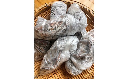 伊勢海老 冷凍 1kg 漁師直送 伊勢エビ 伊勢海老