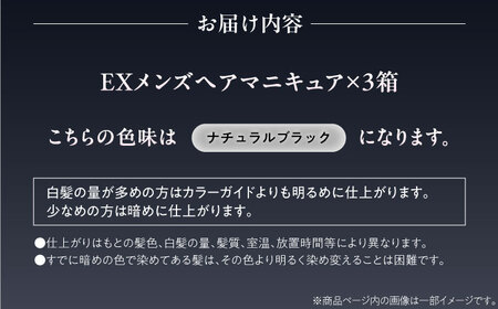 ダリヤ サロンドプロ EXメンズヘアマニキュア（白髪用） 3箱セット【ナチュラルブラック】 / 稲沢市 / 日興商事株式会社 [BMBK006-02]