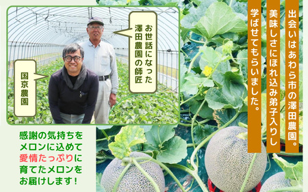  【先行予約】マルセイユメロン 2玉入 3L（1kg以上×2玉）高糖度で抜群に美味しい赤肉メロン ／ 果物 フルーツ 産地直送 ※2024年6月上旬以降発送