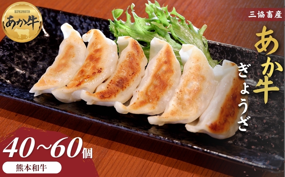 
                  【三協畜産】熊本和牛あか牛ぎょうざ 40個～60個　和牛 国産牛 お取り寄せ ご当地 高級 贅沢 ジューシー餃子 冷凍 あか牛 熊本県産 濃厚肉汁 焼くだけ簡単 熊本県 阿蘇市
                