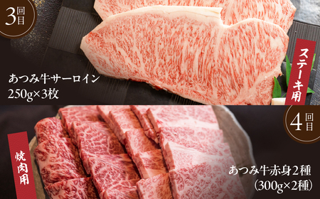 超厳選!あつみ牛希少部位定期便 4回お届け あつみ牛 牛 牛肉 シャトーブリアン ロース カルビ サーロイン 赤身 焼肉 ステーキ 定期便 肉 サーロイン サーロインステーキ ステーキ 田原市 渥美フ