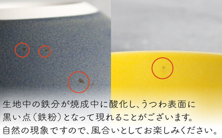 【波佐見焼】Naturalシリーズ プレート L (ネイビー） パスタ皿 皿 マット【光春窯】[XD103] 波佐見焼