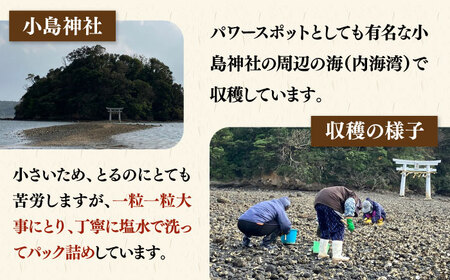 【季節限定】 天然 岩カキ 100g×2パック（生食用）《壱岐市》【鈴の海庭】 牡蠣 カキ 岩牡蠣 貝 魚貝 海産物 おつまみ カキフライ 鍋 カキ鍋 牡蠣鍋 カキ飯[JFV002]