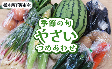 下野市産 季節の旬野菜詰め合わせ | 栃木県 下野市
