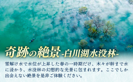 水没林カヌー［早朝プレミアム］（2名様分）- 体験 チケット 自然 白川湖