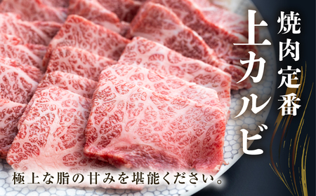 白川郷 飛騨牛 上カルビ 焼肉 用 600g 高山米穀 焼肉 [S567]